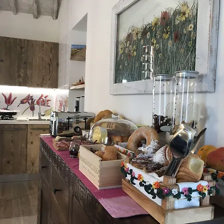 Fonte Gaia Experience Bed & Breakfast Siena