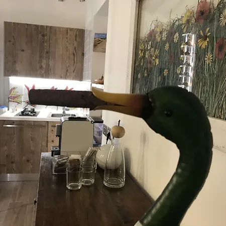 Fonte Gaia Experience Bed & Breakfast Siena