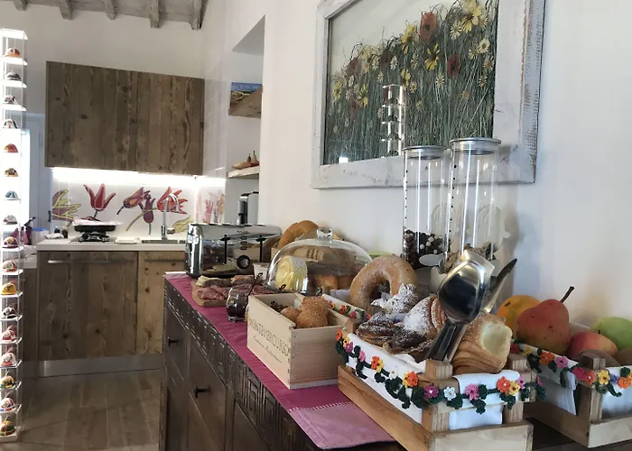 Fonte Gaia Experience Bed & Breakfast Siena